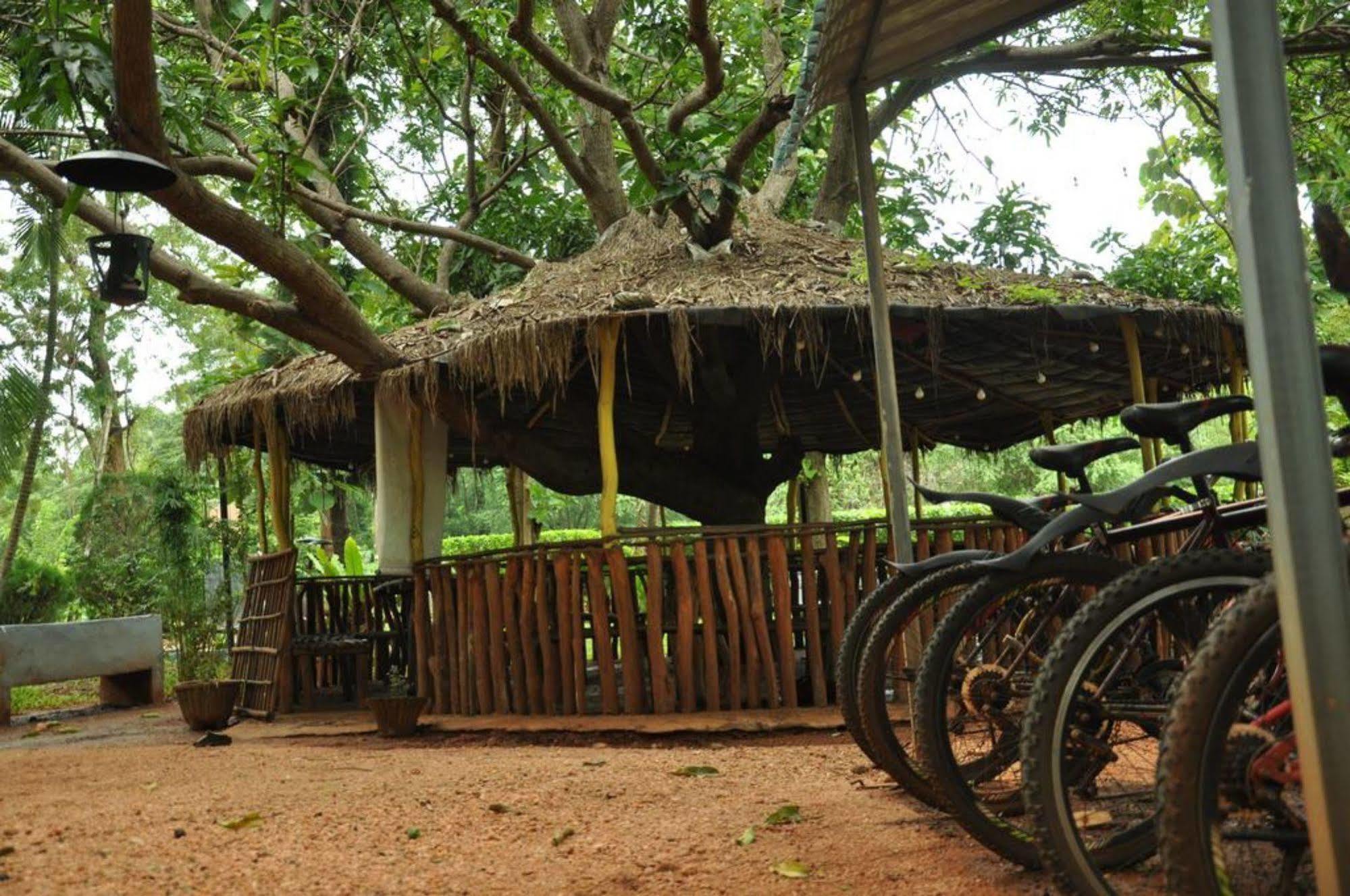 Sujatha Tourist Rest Otel Dambulla Dış mekan fotoğraf
