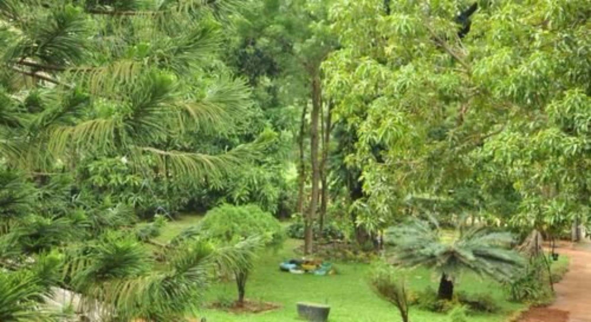 Sujatha Tourist Rest Otel Dambulla Dış mekan fotoğraf